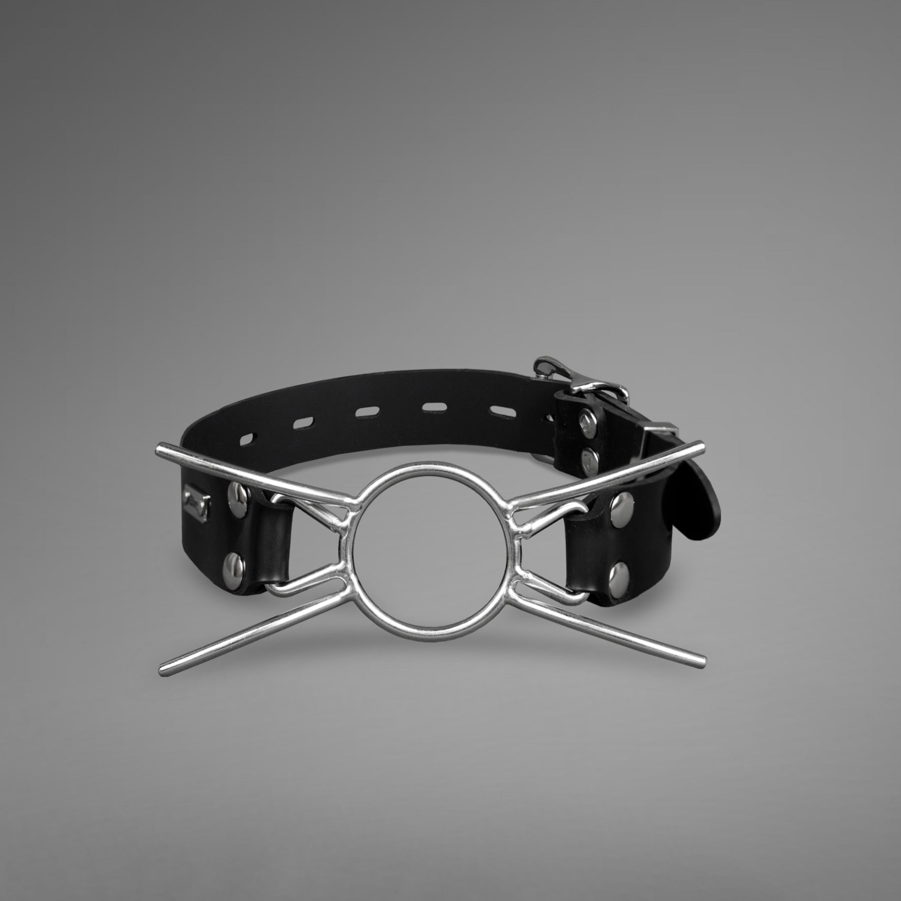 Stainless Steel Spider Gag